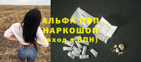 гашик Болохово