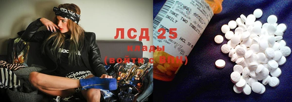 крисы Магадан