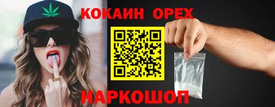 дмт Кингисепп