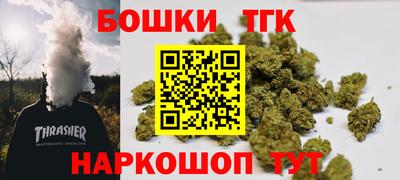 дмт Кингисепп