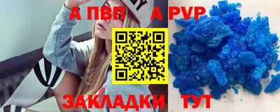 дмт Кингисепп